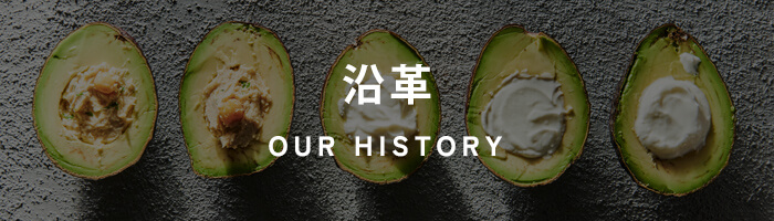 OUR HISTORY/沿革