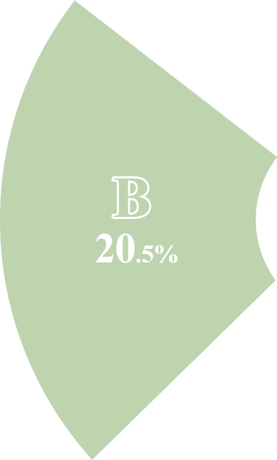 B 20.5%