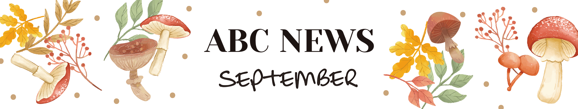 ABCNEWS SEPTEMBER