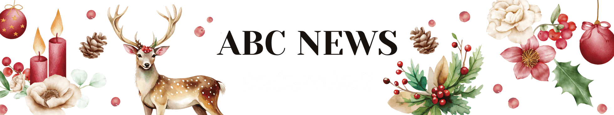 ABCNEWS DECEMBER