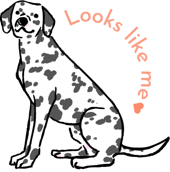 ダルメシアンみたいな柄