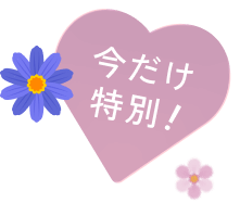 今だけ!