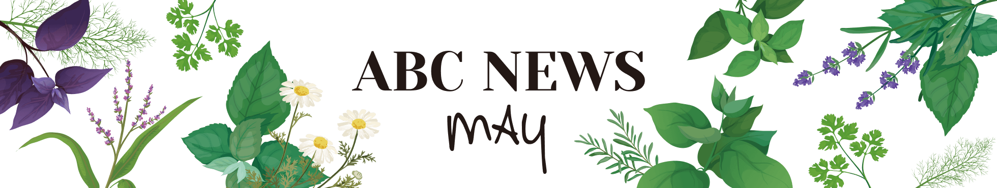 ABCNEWS MAY