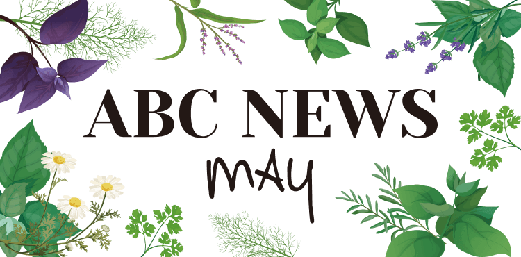 ABCNEWS MAY