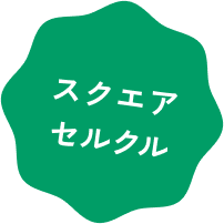 スクエアセルクル