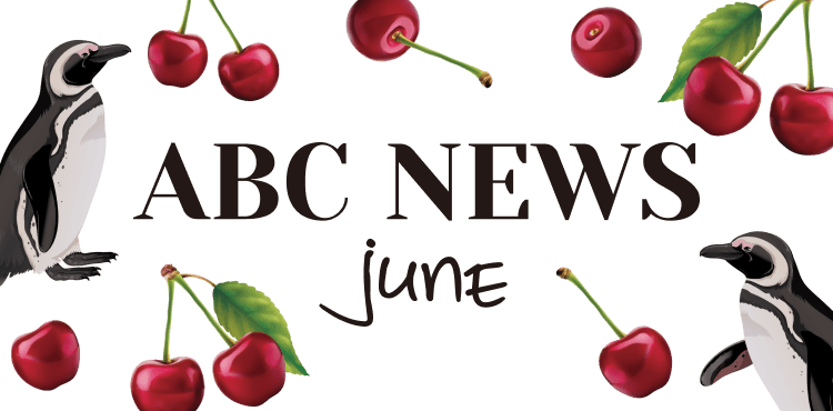 ABCNEWS JUNE