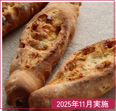 カマンベールノア 2025年11月実施