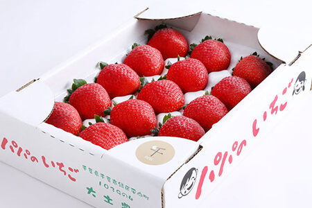 おおど農園　パパのいちご　【農業生産法人　株式会社つちとも会】