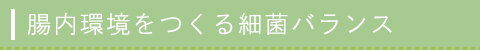 腸内環境をつくる細菌バランス