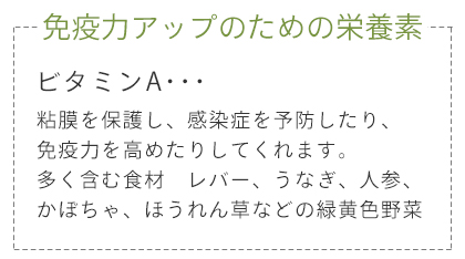 免疫力アップのための栄養素