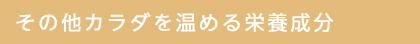 その他カラダを温める栄養成分