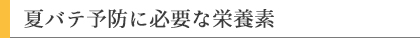 夏バテ予防に必要な栄養素