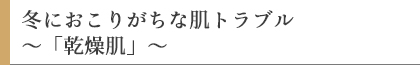 冬におこりがちな肌トラブル～「乾燥肌」～