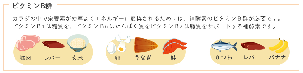 筋肉の材料となるたんぱく質を摂取する