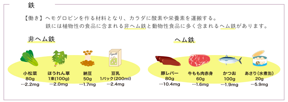 食事 貧血