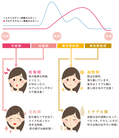 女性ホルモンを味方につけて肌のリズムをととのえよう | 料理教室・スクールならABCクッキングスタジオ