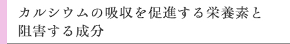 カルシウムの吸収を促進する栄養素と阻害する成分