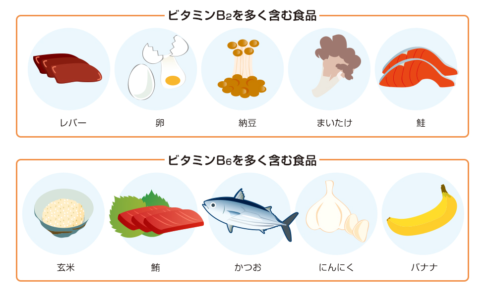 ビタミンB2を多く含む食品（レバー、卵、納豆、まいたけ、鮭） ビタミンB6を多く含む食品（玄米、まぐろ、かつお、にんにく、バナナ）