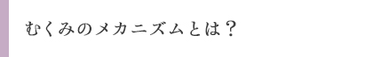 むくみのメカニズムとは？