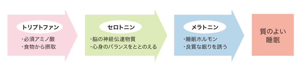 トリプトファン（必須アミノ酸、食物からの摂取）→セロトニン（脳の神経伝達物質、心身のバランスをととのえる）→メラトニン（睡眠ホルモン、良質な眠りを誘う）→質のよい睡眠