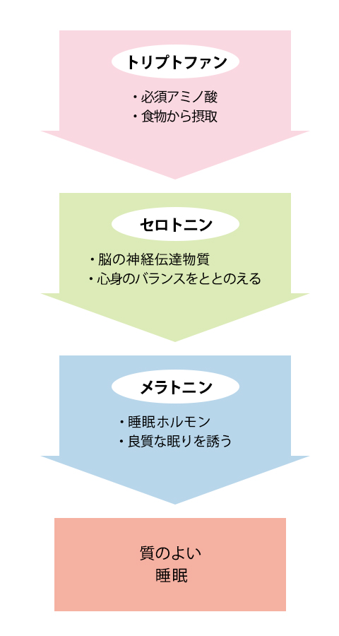 トリプトファン（必須アミノ酸、食物からの摂取）→セロトニン（脳の神経伝達物質、心身のバランスをととのえる）→メラトニン（睡眠ホルモン、良質な眠りを誘う）→質のよい睡眠