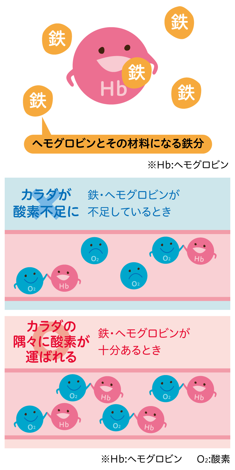 疲れやすさの原因は 隠れ貧血 かも 料理教室 スクールならabcクッキングスタジオ