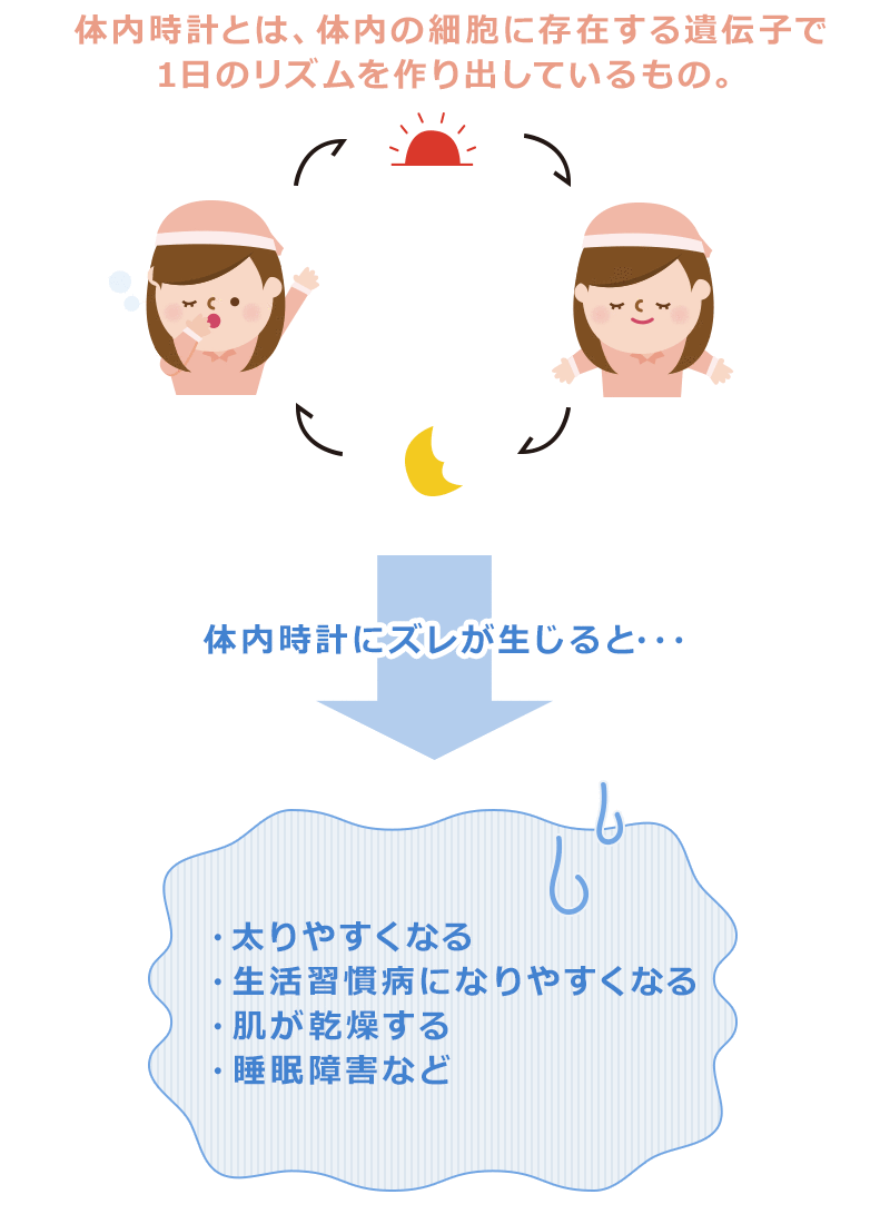 夜遅い時間の食事の摂り方とは 料理教室 スクールならabcクッキングスタジオ