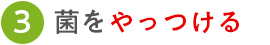 3.菌をやっつける