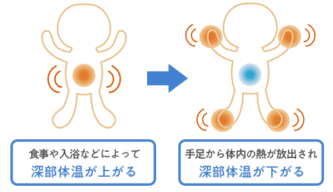 深部体温