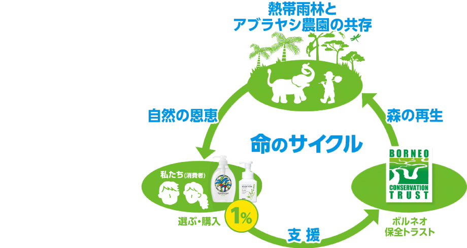 熱帯雨林とアブラヤシ農園が共存するための命のサイクル