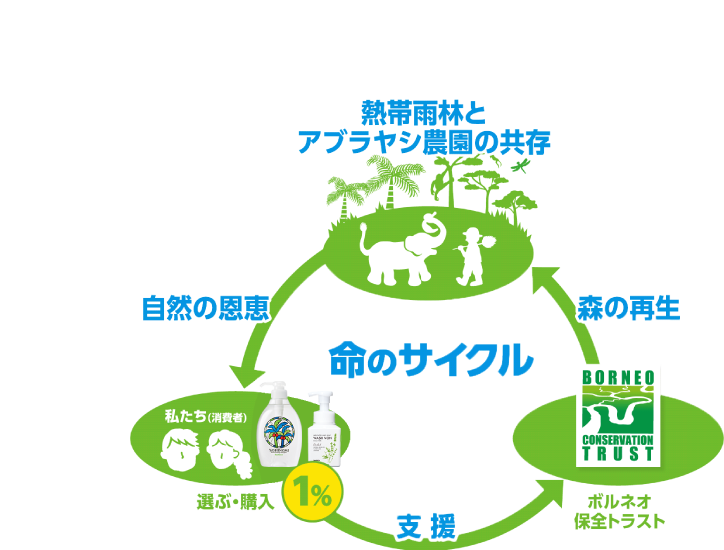 熱帯雨林とアブラヤシ農園が共存するための命のサイクル