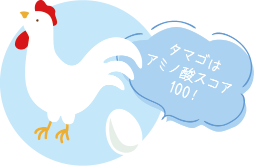 タマゴはアミノ酸スコア100!