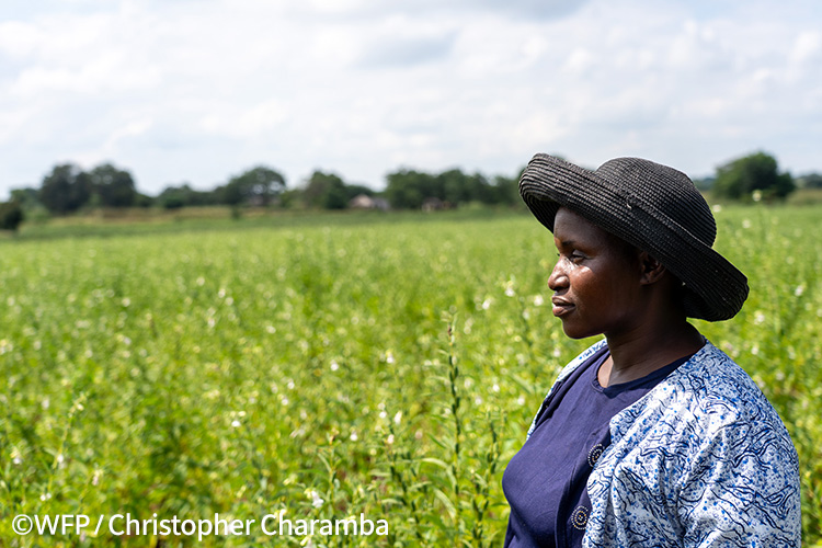 プログラムのおかげで収益を得られるようになったと話す、カスティナ・シバンダさん。