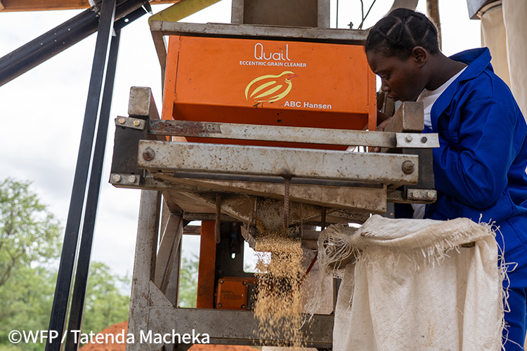 ジンバブエ南部ムウェネジ地区に設置されたゴマ加工施設。