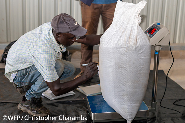 作業員が袋を丁寧に計量します。かつては不当に買い叩かれることもありました。