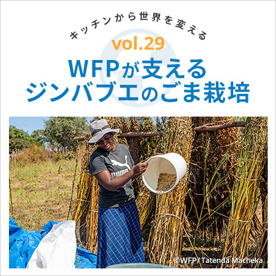 Vol29.WFPが支えるジンバブエのごま栽培