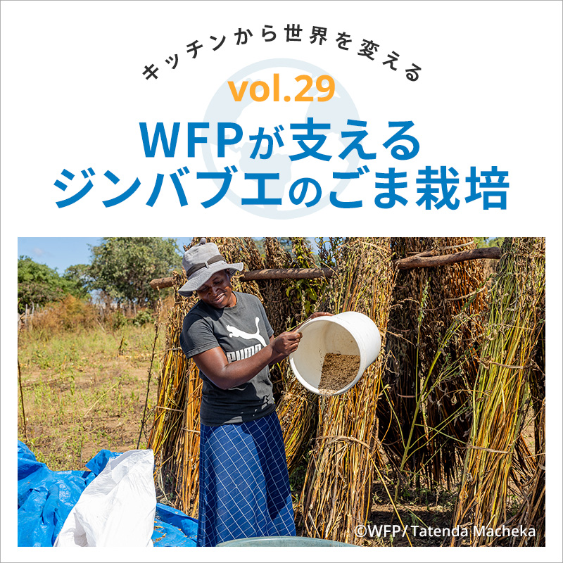 キッチンから世界を変える/WFPが支えるジンバブエのごま栽培 vol.29