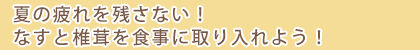 夏の疲れを残さない！なすと椎茸を食事に取り入れよう！