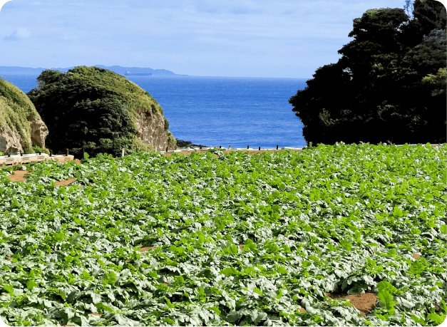 地産地消
