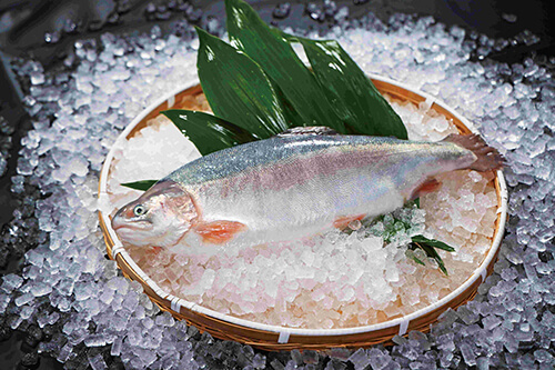 ニュースレター】千葉県産水産物の魅力をまるごと体験！ ～ABCが