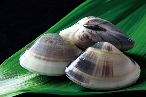 九十九里地はまぐり