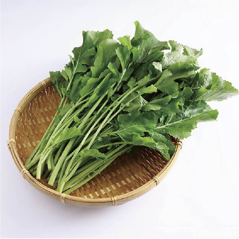 千葉市伝統野菜「土気からし菜」
