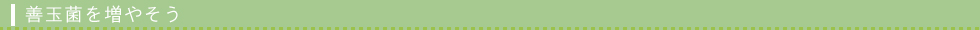 善玉菌を増やそう