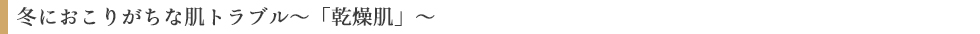 冬におこりがちな肌トラブル~「乾燥肌」~