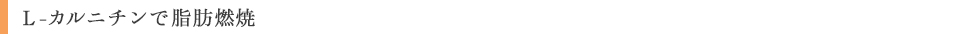 L-カルニチンで脂肪燃焼