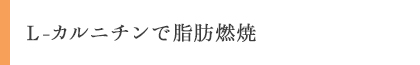 L-カルニチンで脂肪燃焼