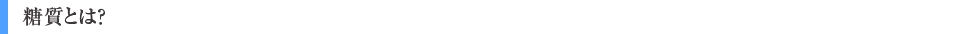 糖質とは?